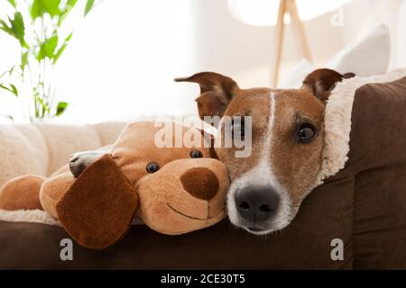 coppia accogliente sul divano Foto Stock