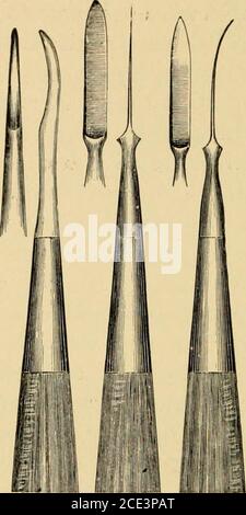 . Un manuale di odontoiatria meccanica e metallurgia . e mescolato con il gesso.UN getto metallico, tuttavia, darà i risultati migliori, particolarmente nel caso di sottosquadri profondi. In questo caso si può usare block-TiN o Babbitmetal, e si può versare direttamente nell'impronta di gesso. La cavità per la camera a vuoto deve essere ovviamente tagliata nell'impronta prima della colata del metalis. * la piroxilina, comunemente conosciuta come cotone a pistola, è fatta da lana di cotone maceratingcotton - anche se lino, canapa, ecc., sono talvolta impiegati - in una miscela forte di acidi nitrico e solforico per 15 ore, quando deve essere lavata accuratamente e. Foto Stock