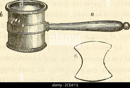 . Du microscope et des injection : dans leurs applications à l'anatomie et à la patologie, suivi d'une classification des sciences fondamentales, de celle de la biologie et de l'anatomie en particulier . rte-loup. 44. Il faut, pour les diffréents cas qui peuvent seprésenler, avoir des loupes grossissant depuis trois ouquaire fois en diamètre jusquà dix à douze fois; dureste, les diverses espèces de ces Instruments quonpeut sont à peu près égalementbonnes,etronpeut habitant des habitischoses habits à habitant, habitant habitant, habitant habitant, habitant, habitant habitavantischoses e habitant Celles auxquelles je me suis arrêté sont des loucesformé Foto Stock