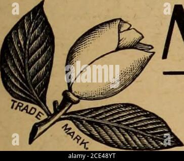 . Merchandising hardware 1895 . VOL. VII. TORONTO, 23 FEBBRAIO 1895. N. 8. MAGNOLIA METAL. IN USO DA OTTO GOVERNI LEADER. MIGLIOR METALLO ANTI-ATTRITO PER motori ad alta velocità, Dynamo, Rolling-Mill, Steamship, Railroad, Saw-Mill, Cotton-Mill, Paper-Mill, Woolen-Mill, Silk-Mill, Jute-Mill, Rubber-Mill, Sugar Mill, Flour-Mill e tutti i cuscinetti di macchinari. Foto Stock