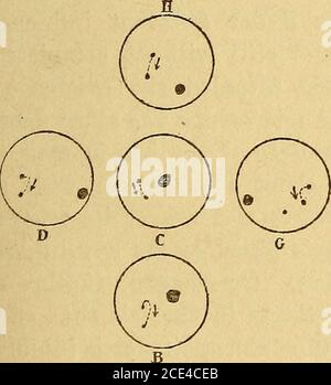 . Ottica fisiologica : essere un saggio contribuì all'enciclopedia americana dell'oftalmologia . Fig. 96.-le quattro fasi apparenti della sistemazione. (Dopo Tscherning.) Fig. 97 mostra gli spostamenti dell'immagine dovuti alla superficie posteriore-cristallina durante il massimo sforzo di accomodamento; Grappresenta lo stato degli affari quando si guarda in modo semplice; H, look-. Foto Stock