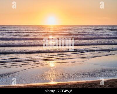 donna sulla spiaggia a bassa marea al tramonto Foto Stock