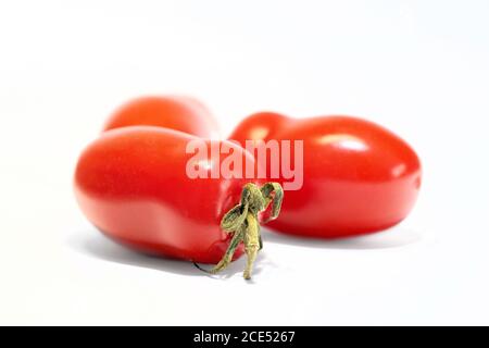 Pomodori Roma maturi (Solanum lycopersicum) con fondo bianco Foto Stock