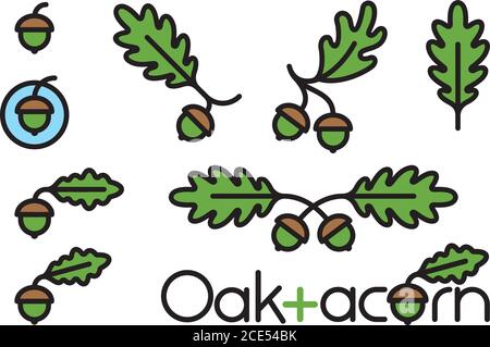 Set di 9 elementi di design a foglia di acorno e quercia. Illustrazioni decorative vettoriali naturali con contorni in grassetto. Illustrazione Vettoriale