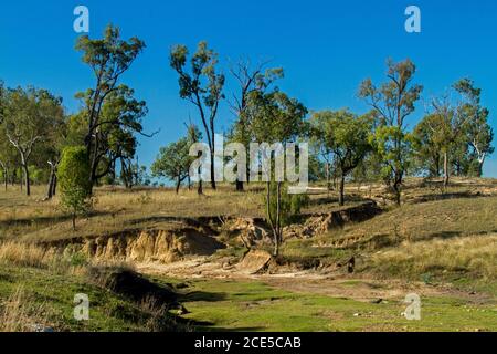 Paesaggio rurale australiano con burrone gravemente eroso ai piedi di bassa collina punteggiata da alberi sotto il cielo blu Foto Stock