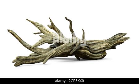 driftwood isolato su sfondo bianco, rami invecchiati Foto Stock