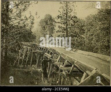 . Geografia domestica per i gradi primari . SEGA MULINO E BOOM DI LOGS. Che sono andato in grandi numeri quasi nascondere il River.The tronchi galleggiò giù il fiume per miglia e a laststopped ad una grande diga prima di una segheria. Poi uno ad uno i tronchi sono stati tirati fuori dall'acqua e correre nel mulino. Quanto interessante è la themachinery. Prende su ogni log come facilmente asyou un bastone piccolo. Molto presto la vivace 204 HOME GEOGRAPHY. Seghe hanno cambiato i tronchi ruvidi in liscio, lavagne. Le ferrovie sono ora costruite nelle foreste e i thelog sono trasportati fuori sulle automobili. Le Segherie sono. Un FUMO DI LEGNAME messo wher Foto Stock