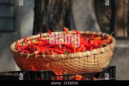 Cestino con peperoncini rossi Foto Stock