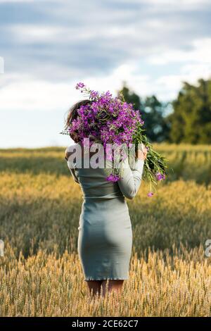 Bella donna romantica con un lupino su campo d'oro. Ragazza che tiene un bouquet di lupini. Foto Stock