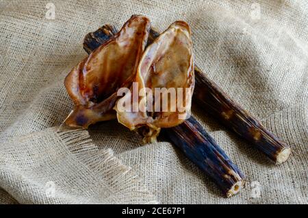 Naturale sano essicato tratta per cani concetto. Code di manzo essiccate e orecchie di maiale sul insaccamento. Trattamenti per la pulizia di denti e gengive di animali domestici. Forniture per animali domestici. Foto Stock