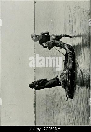 . Due viaggi africani, con note e suggerimenti sulla conservazione dei grandi giochi in Africa; . ed in questa sacra lista, altri, come ho detto, ricevono protezione da un limite di essere placedon il numero consentito di essere uccisi. Tra tutte le gameregulations che si occupano di questo argomento il miglior modello sembra essere il terzo calendario di quelli in vigore in Uganda e in Africa orientale britannica, che evita troppe distinzioni, ma divide gli animali protetti in quelli di cui due soli possono essere uccisi, e le specie comuni, la cui limite dieci. Questo è meglio che moltiplicare i limiti arbitrari. Poi, per quanto riguarda la questione difficile Foto Stock