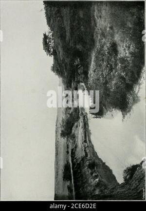 . Due viaggi africani, con note e suggerimenti sulla grande conservazione del gioco in Africa; . lui attraverso il fiume verso il Monte Kenia, accompagnato da un askari, per vedere le tracce delle elandie. Secondo il loro racconto, theywere sparato da un partito di Wa-kikuyu, e una arrowpassò attraverso Darotas braghe, fortunatamente senza la sua pelle. I Wa-kikuyu hanno generalmente provedessi stessi problematici per i viaggiatori. Il motivo del thisprobably è che, essendo coltivatori, sono stati perquisiti costantlyed per cibo passando le carovane. Il gioco su queste pianure attrae grandi numeri di leoni, e suppongo Foto Stock