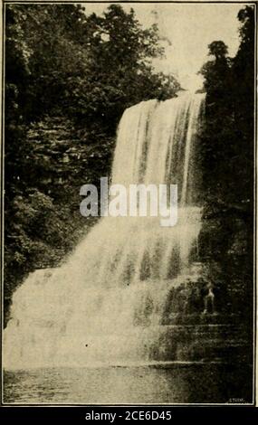 . Linglenook, il (1911) . Mountain Lake, Giles Co., va., 4,000 FeetAbove Tide. Best Bock all'estremità nord del lago. Le crepe e crepacci. Più in alto. Il piccolo ruscello stesso contribuì a costruire il muro carcerario. Un Signore che si è visto il luogo nel 1840 o in esso dice che le acque erano poi risalite pieno twen-ty-five piedi. Da quel tempo hanno havecontinued per alzarsi fino all'enorme moun-lin tazza è pieno ed i flussi eccedenti &lt;ver la diga. L'acqua non è sale. Il nome, Saltfond, è cresciuto da altre conditions.Some dicono che è venuto dal fatto che l'alco somanv, bufali e cervi sono venuto t Foto Stock