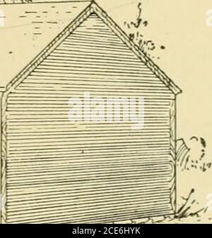 . Piani di fienile e annessi . ^irs^^ Fig. 206 – CASA ESTIVA PER ALLEVATORE DI POLLAME con pulcini giovani. Dopo che i pulcini sono un fewweeks vecchio il brodiere può essere rimosso, i roosts messo in e i pulcini lasciati là tutti i siimmer sicuro da veniin andthieves se le porte sono chiuse di notte. La finestradeve essere sostituita con una retina metallica. Severalhouses di questo tipo in uso dal West Virginia experi- 208 PIANI FIENILE E ANNESSI Stazione sono sei piedi quadrati, sei piedi di altezza in frontee quattro piedi di altezza dietro. Sono costruiti ofplaned e scanalati pino duro, che costa lì sette-teen dolla Foto Stock