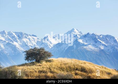 Mt. Cook Foto Stock