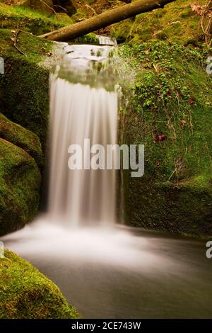 Cascata sul piccolo ruscello di montagna. L'acqua fredda di cristallo sta cadendo sopra i massi di mussoso di basalto in piccola piscina. Foto Stock