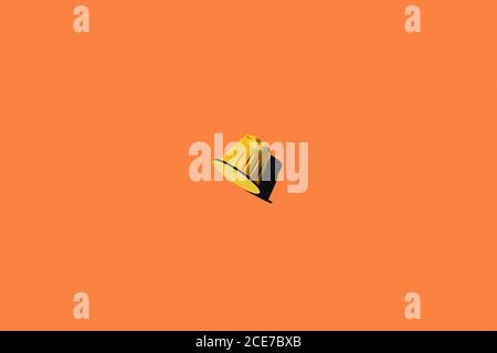 Vista dall'alto della cialda di caffè gialla su sfondo arancione Foto Stock