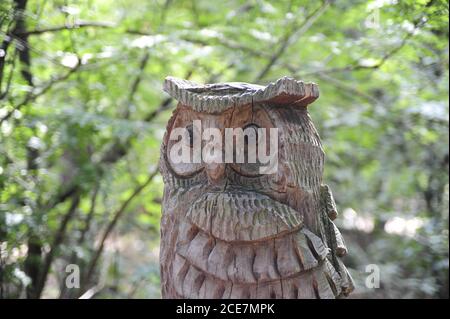 Colpo di closeup di una statuina di gufo in legno intagliato in un foresta Foto Stock