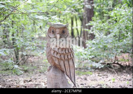 Bella ripresa di una statuina di gufo in legno intagliato in un foresta Foto Stock