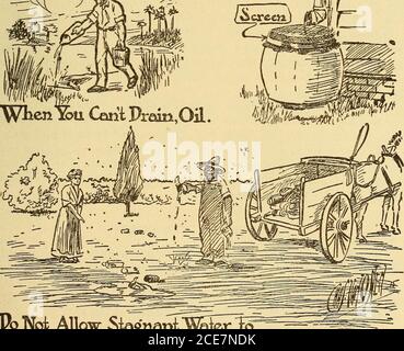 . Dr. Evans' come mantenere bene; . Wtcnl&u CantPrain, olio. JJo noi allow stagnant WS^rl^Collect -Anywhere onl&ur Ptemirej: Florida Health Notes, Fig. 129. 287 288 MALATTIE CONTAGIOSE da proteggere contro la malaria, prestare attenzione alle zanzare, in particolare alle zanzare che si riproducono e vivono in tutta la casa. Tenere lontano dalla gente che ha la malaria, o che l'ha avuta entro un anno. La malattia non può passare direttamente da una tale persona a voi, ma i themosquitoes intorno a tale persona saranno una minaccia a voi. ANTRACE uno dei primi batteri scoperti era quello dell'antrace. Il motivo è che è così grande t Foto Stock