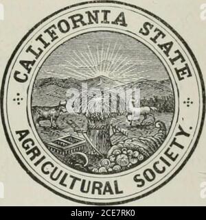 . Appendice ai giornali del Senato e Assemblea della sessione ... della legislatura dello Stato della California . 1904: Avena di grano... Orzo... -- acri di fieno di mais di viti di uva che crescono in primavera di HMH: Tavola..Raisin vino udienza. 70 165 315 numero di alberi da frutto che crescono nella primavera del 1904: Anello non-Bea. Udienza.7,400 10,090 Apricot di Apple . 15,000 41,000 Ciliegio 1,000 3,000 Fig... 4,500 2,000 Oliva 8,000 1,800 Peach.... 64,(HMI 27,000 Pear 18,000 3,100 valore del grano valutato in deposito: Statistiche della scuola di orzo del grano: Numero totale di bambini di censimento, 194 .numero di insegnanti occupatiNum Foto Stock