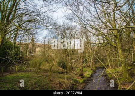 Passeggiata nel bosco Derbyshire Ray Boswell Foto Stock