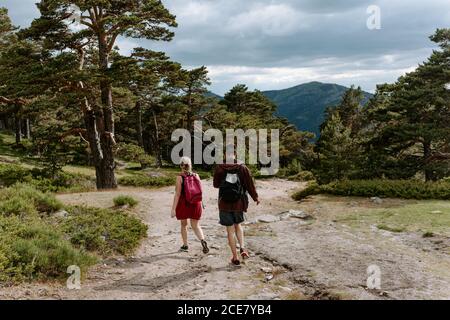 Vista posteriore di una giovane coppia irriconoscibile di viaggiatori con zaini escursioni sul sentiero tra la foresta verde e le montagne in estate Giornata in Navacerrada in Spagna Foto Stock