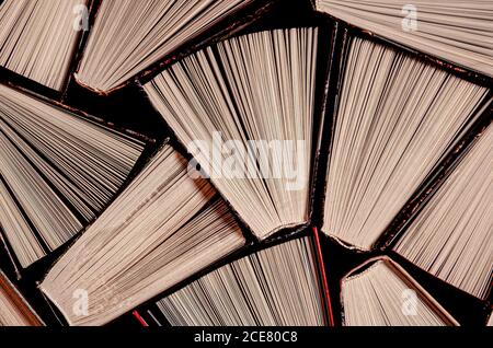 Un'enorme biblioteca domestica con vecchi libri multicolore Foto Stock