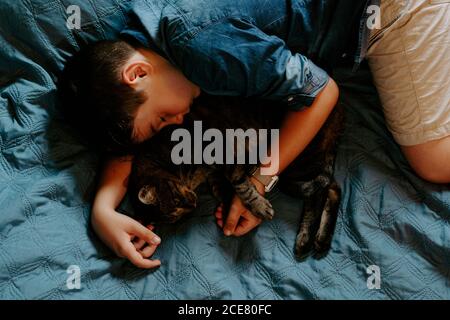 Dall'alto di ragazzo in casual indossando abbordabile grigio gatto mentre dormono insieme pacificamente sul letto durante il sonnellino di giorno Foto Stock