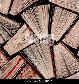 Un'enorme biblioteca domestica con vecchi libri multicolore Foto Stock