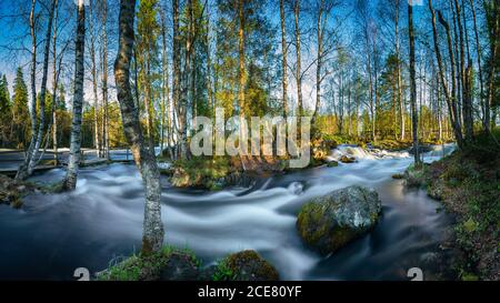 Potente fiume selvaggio che scorre attraverso la magnifica foresta verde con colorato alberi contro il cielo blu Foto Stock
