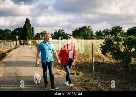 Coppia di adulti positivi a lunghezza intera in maschere facciali protettive indossate Abiti casual passeggiando con divertente cane Bichon Frise in piombo lungo strada rurale e recinzione in metallo sulla nuvolosa giornata estiva Foto Stock