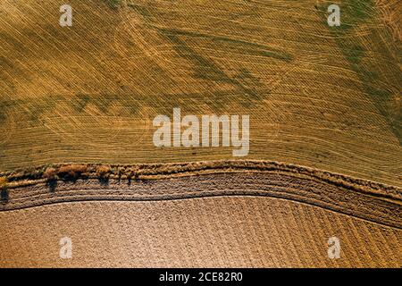 Dall'alto vista aerea del campo agricolo nelle zone rurali in estate Foto Stock