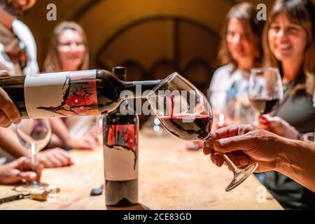 Enologo professionista che versa vino rosso in bicchieri per gruppo di giovani visitatori durante la degustazione di vini in una moderna cantina Foto Stock