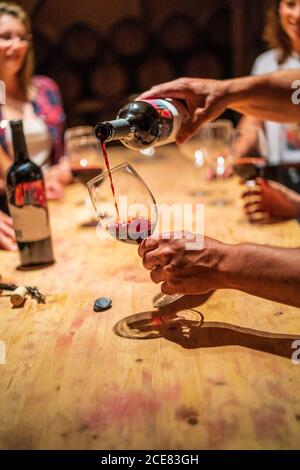 Enologo professionista che versa vino rosso in bicchieri per gruppo di giovani visitatori durante la degustazione di vini in una moderna cantina Foto Stock