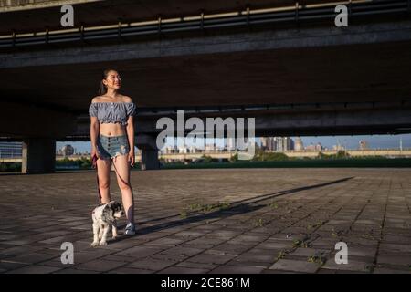 Fit positivo Asian Woman in abiti casual in piedi sul pavimento con piccolo cane obediente purered e guardando lontano vicino al ponte il giorno di sole in estate