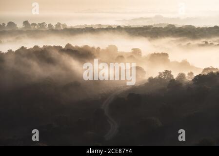 Drone vista di un terreno collinare infinito coperto di alberi verdi Sotto nuvole e nebbia a Toledo Foto Stock