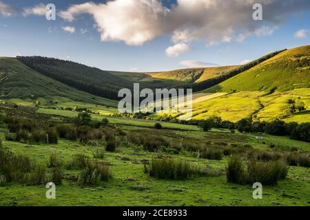 Il sole serale splende sulla montagna di Hay Bluff e Twyn Llech sopra la valle di Dyffryn Ewias, nelle Black Mountains del Galles. Foto Stock