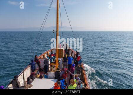 Husavik, Islanda - 25 agosto 2015: Turisti a bordo della barca nel Mare della Groenlandia durante l'avvistamento delle balene. Foto Stock