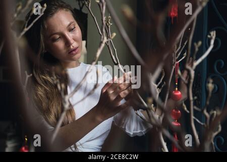 Sognante giovane femmina etnica che si prende cura di rami di albero con Piccole gemme decorate con nodi tondi rossi Cinesi in un ambiente accogliente caffetteria Foto Stock