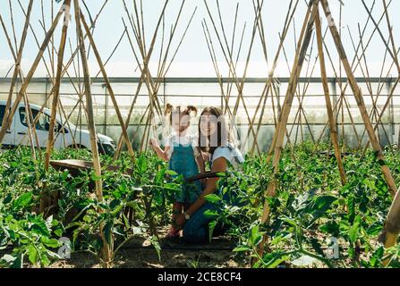 Allegra Donna coccole adorabile ragazza in denim sundress mentre squatting vicino a piccoli alberi di pomodoro verde lussureggiante e bastoni di legno nella zona rurale vicino van Foto Stock