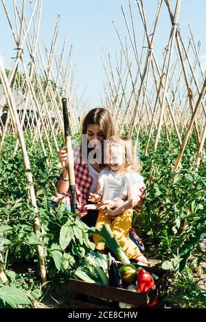 Donna felice coccole bambina mentre la raccolta di verdure fresche e seduta con scatola tra lussureggianti cespugli di pomodoro verde e bastoni di legno sotto il cielo blu Foto Stock