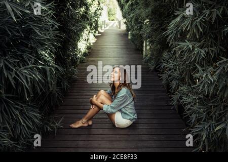 Tranquilla femmina di mezza età in un abbigliamento casual rilassante su un percorso in legno circondato da alberi verdi in giornata di sole in estate e. guardando via Foto Stock