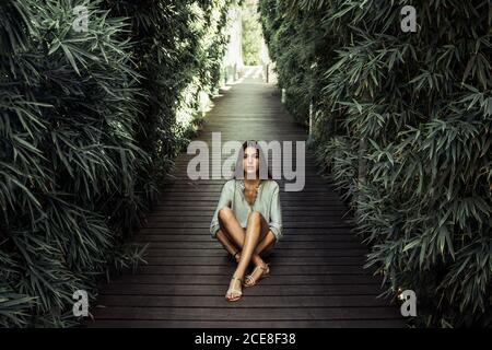 Donna tranquilla in un abbigliamento casual rilassante su un percorso di legno circondato da alberi verdi nella giornata di sole in estate e guardando alla telecamera Foto Stock