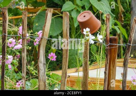 Fiori, pentola su recinzione giardino Foto Stock