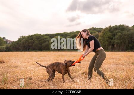 Vista laterale della donna felice in abiti casual che tengono il giocattolo mentre si gioca con adorabile cane grande sul prato in autunno sotto cielo nuvoloso Foto Stock