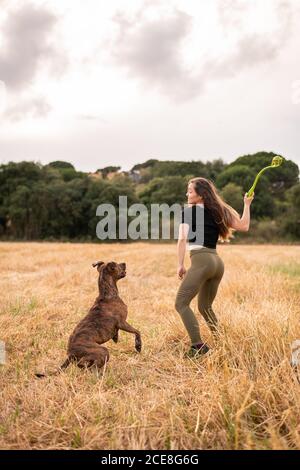 Vista laterale della donna felice in abiti casual che tengono il giocattolo mentre si gioca con adorabile cane grande sul prato in autunno sotto cielo nuvoloso Foto Stock