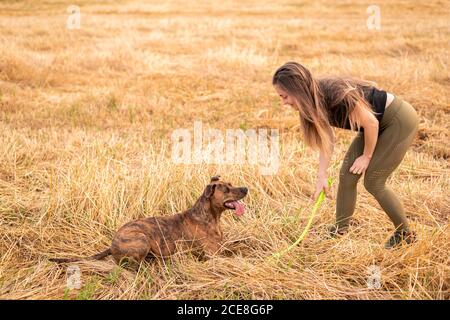 Vista laterale della donna felice in abiti casual che tengono il giocattolo mentre si gioca con adorabile cane grande sul prato in autunno sotto cielo nuvoloso Foto Stock