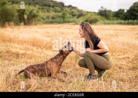 Vista laterale della donna felice in abiti casual che tengono il giocattolo mentre si gioca con adorabile cane grande sul prato in autunno sotto cielo nuvoloso Foto Stock