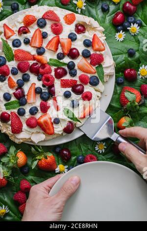 Vista dall'alto della persona anonima con piatto e spatola Serve deliziosi dessert estivi torta Pavlova con meringa e assortiti bacche fresche guarnite con foglie verdi Foto Stock